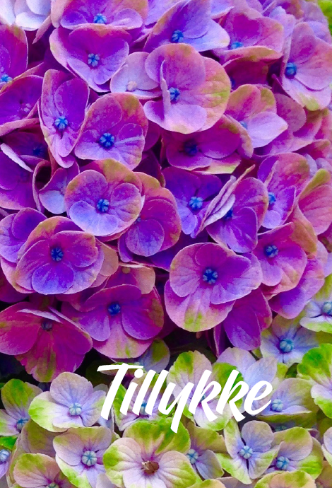 1126