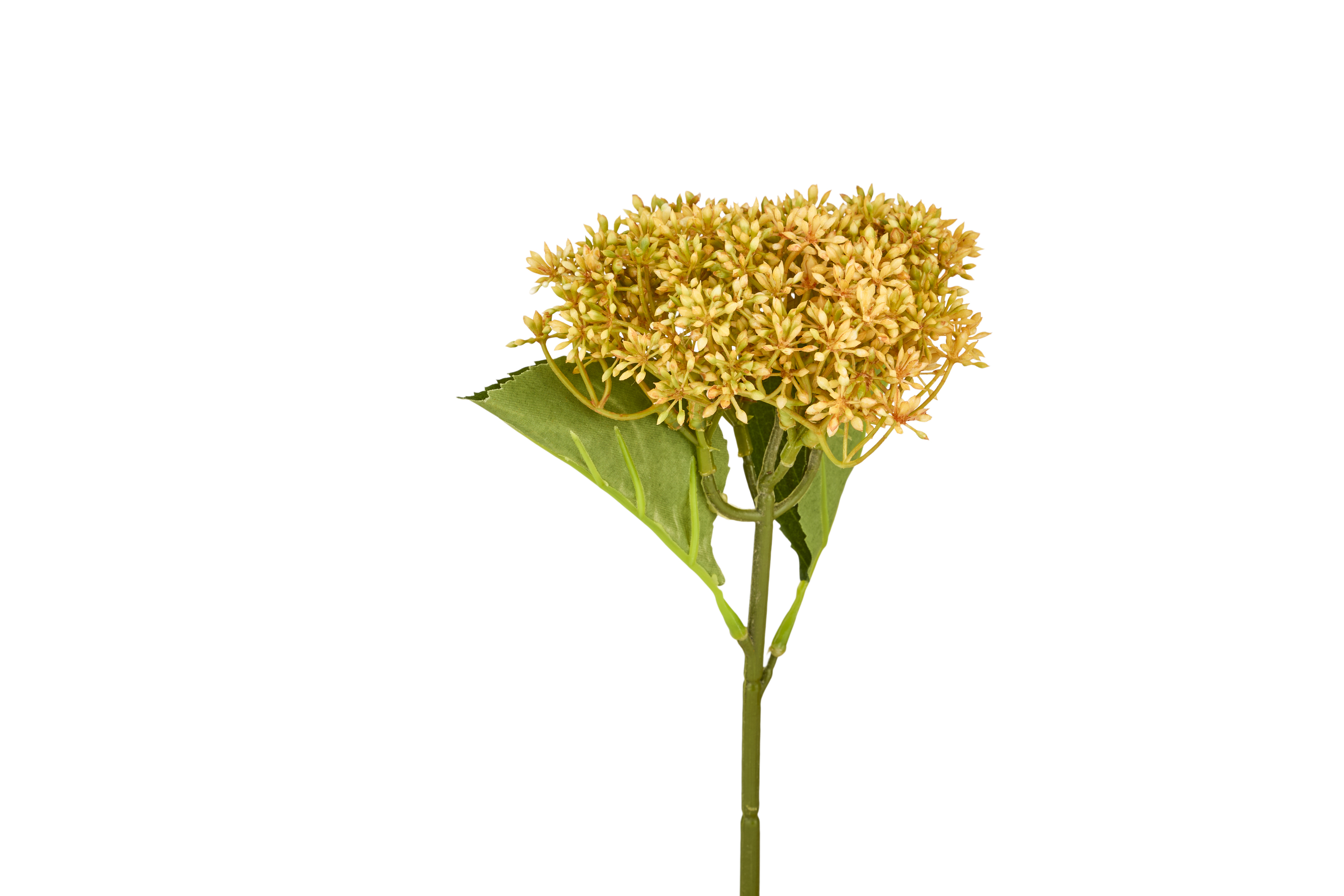BLO291