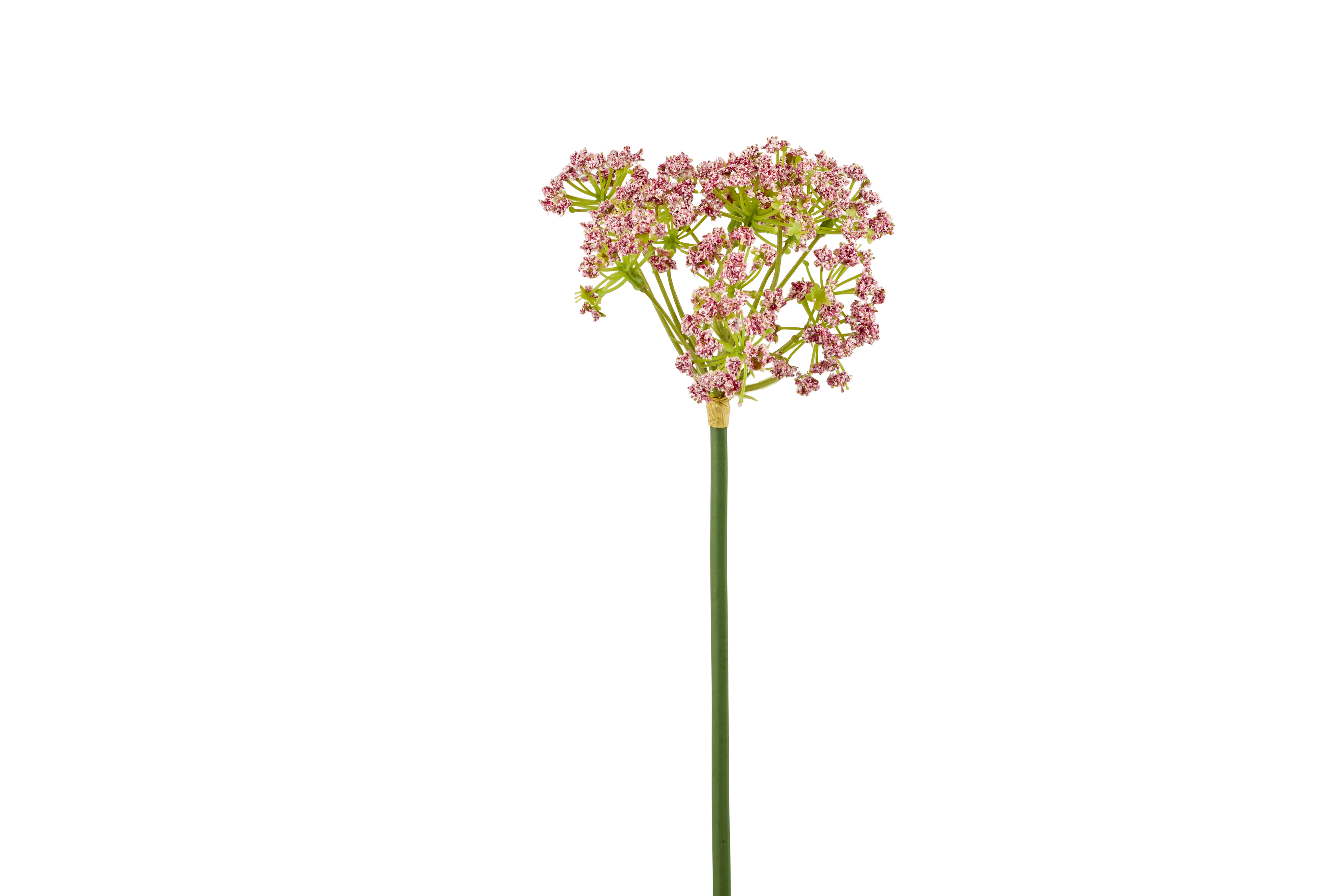 BLO301