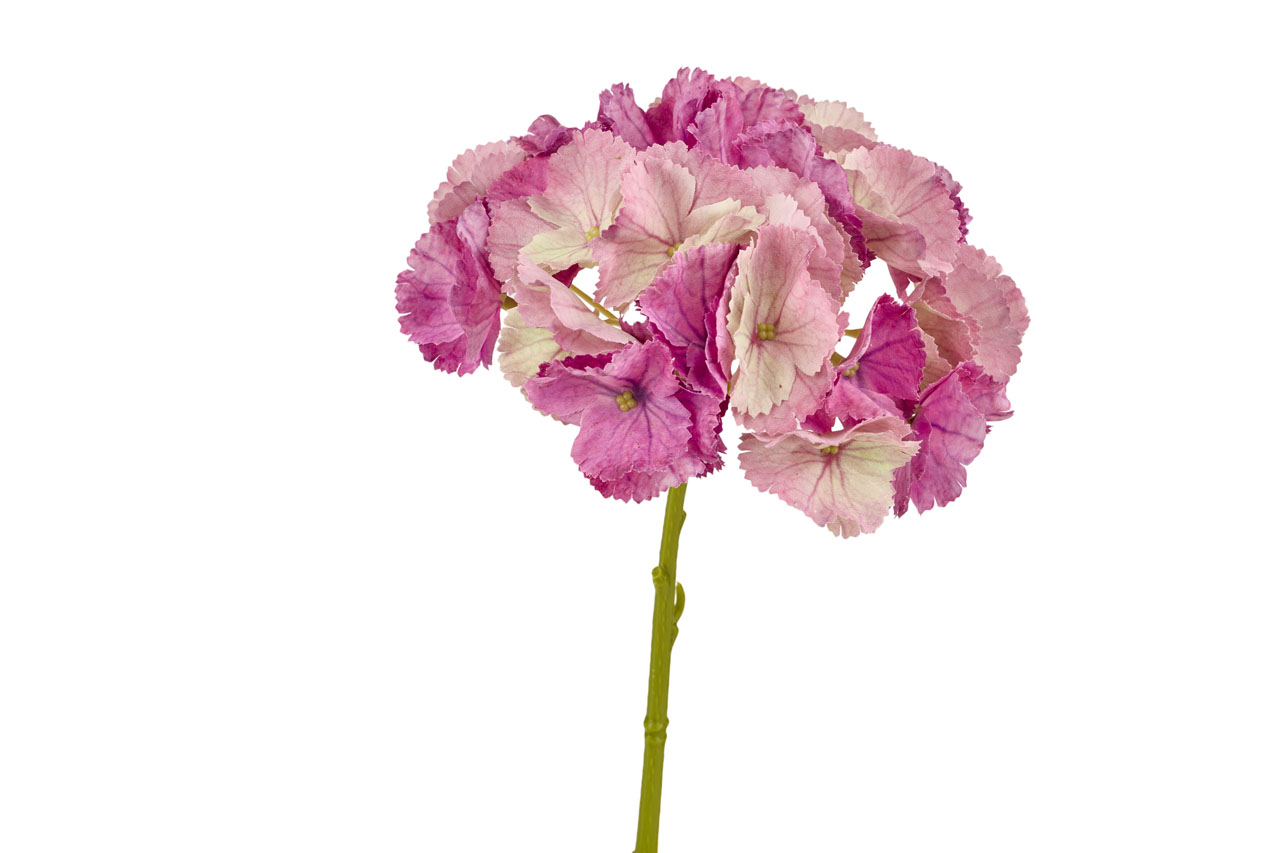 BLO339