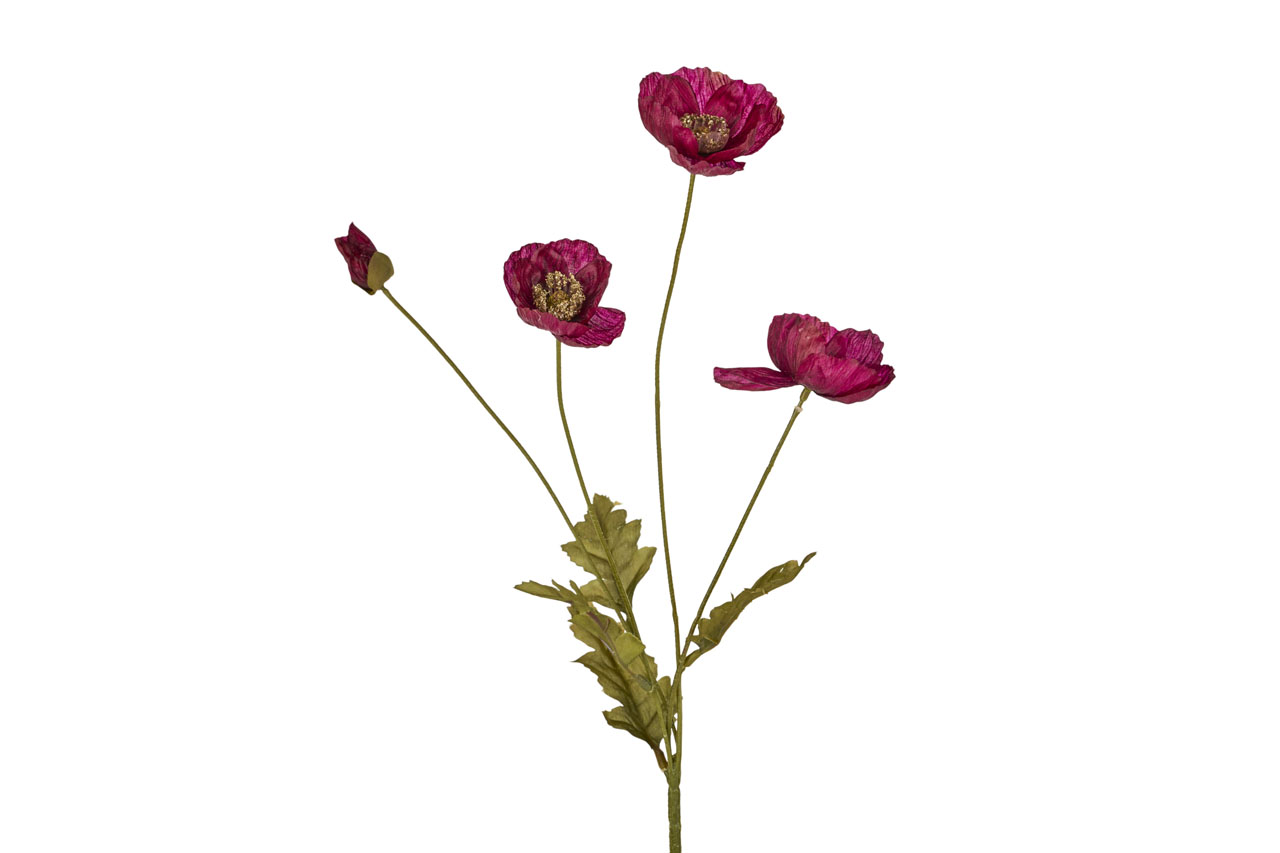 BLO342