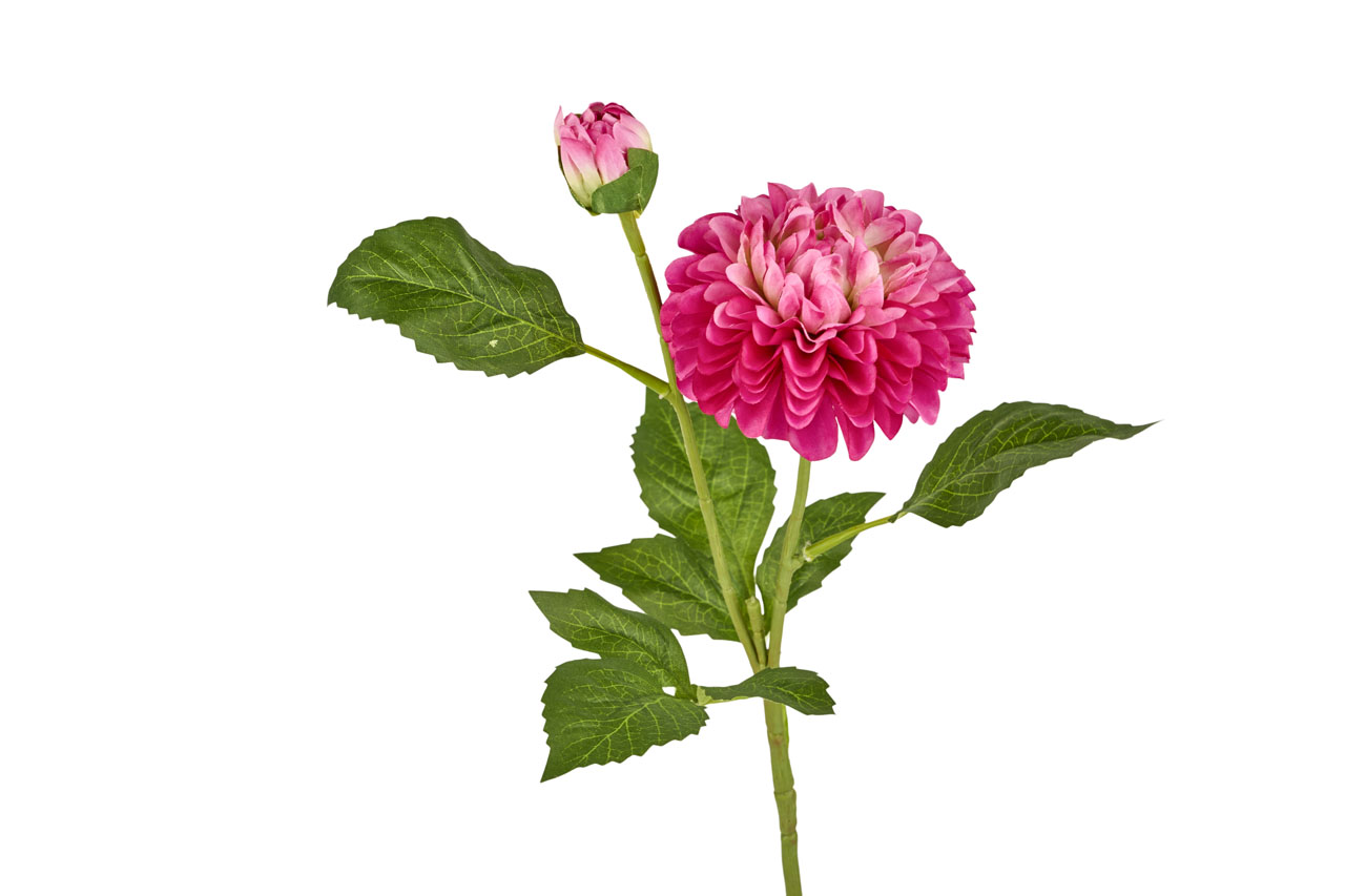 BLO344
