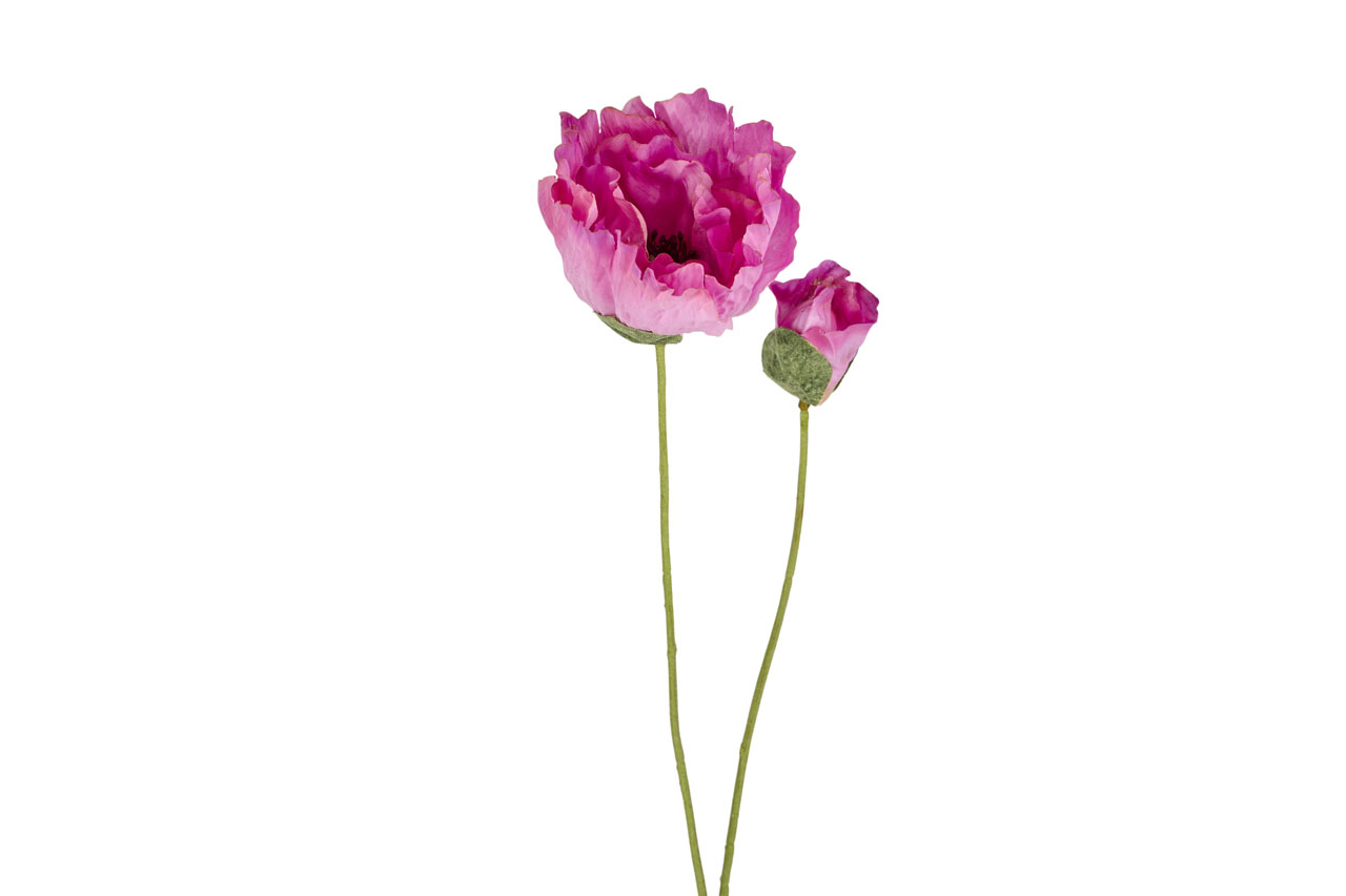 BLO352