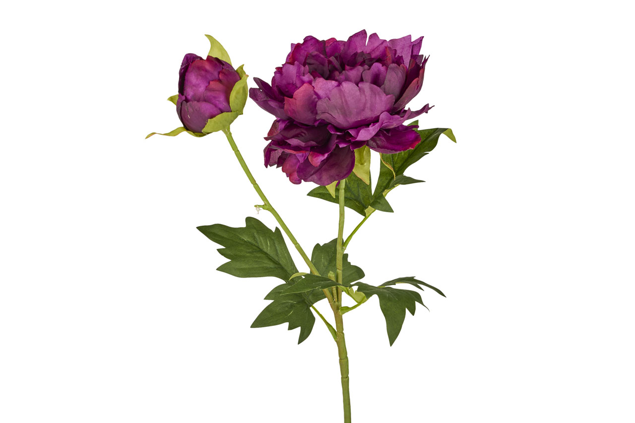BLO355
