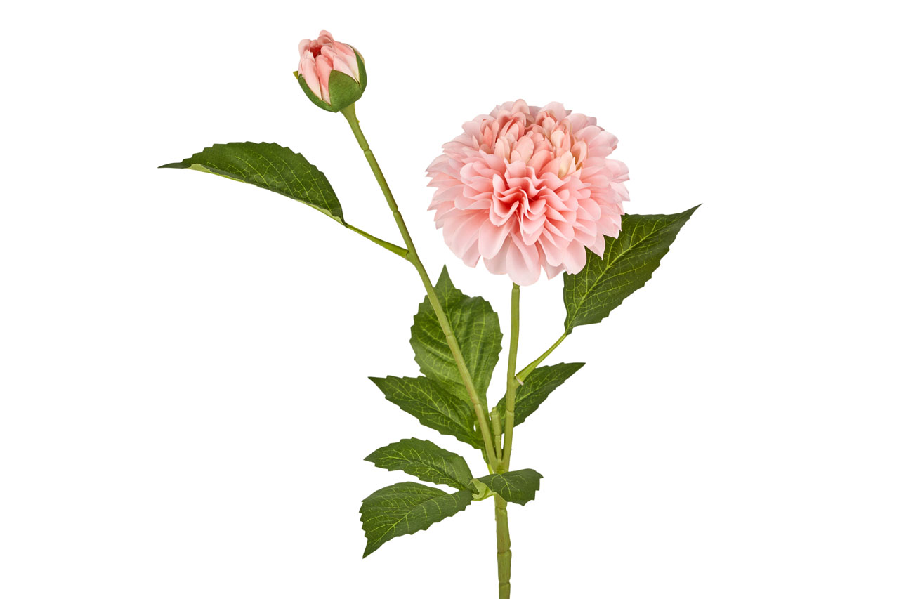 BLO362