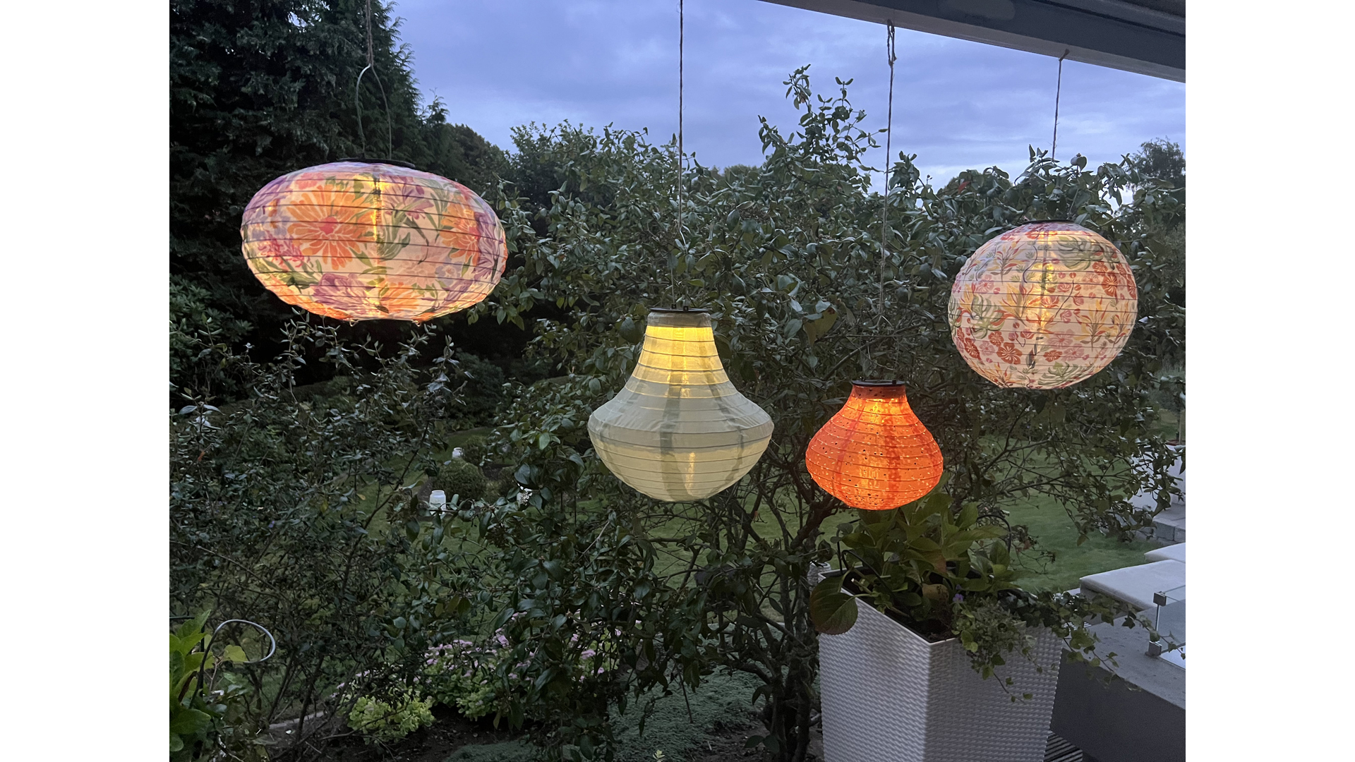 LED089