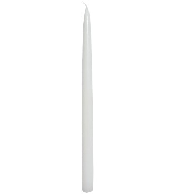 LYS600